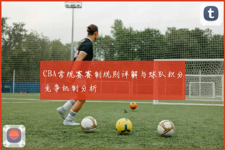 CBA常规赛赛制规则详解与球队积分竞争机制分析
