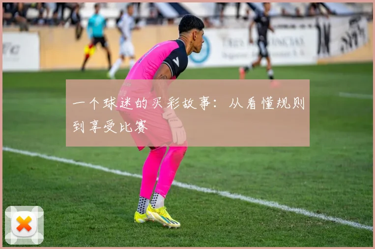 一个球迷的买彩故事：从看懂规则到享受比赛