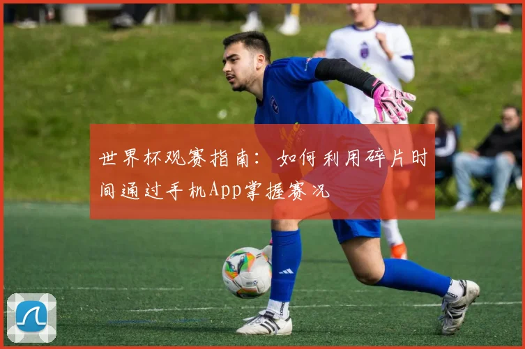 世界杯观赛指南：如何利用碎片时间通过手机App掌握赛况