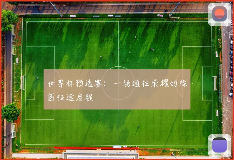 世界杯预选赛：一场通往荣耀的绿茵征途启程