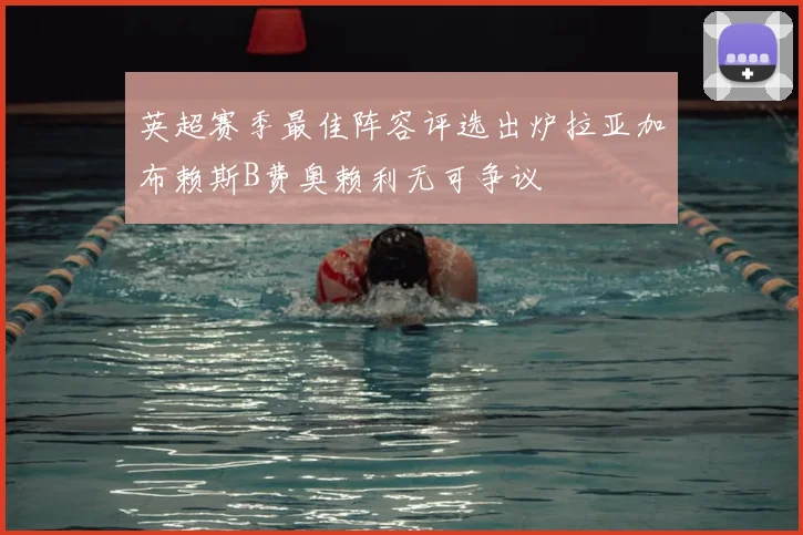 英超赛季最佳阵容评选出炉拉亚加布赖斯B费奥赖利无可争议
