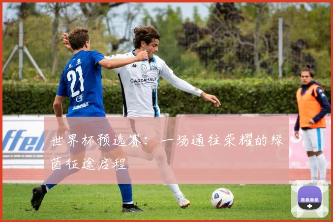 世界杯预选赛：一场通往荣耀的绿茵征途启程