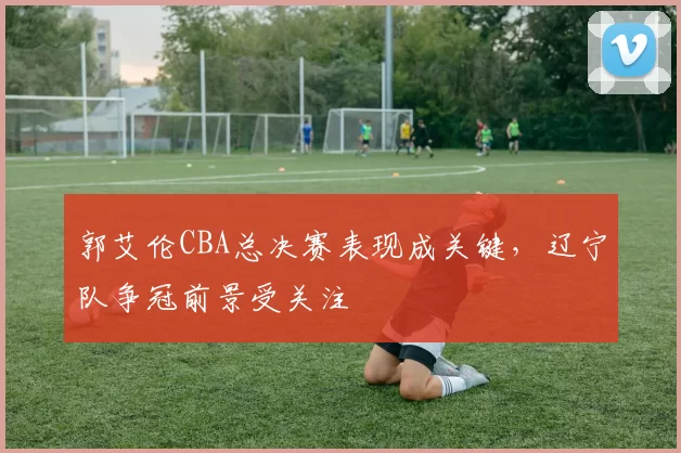 郭艾伦CBA总决赛表现成关键，辽宁队争冠前景受关注