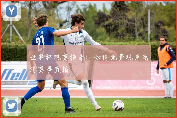 世界杯观赛指南：如何免费观看高清赛事直播