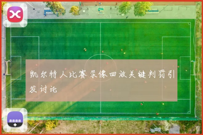 凯尔特人比赛录像回放关键判罚引发讨论