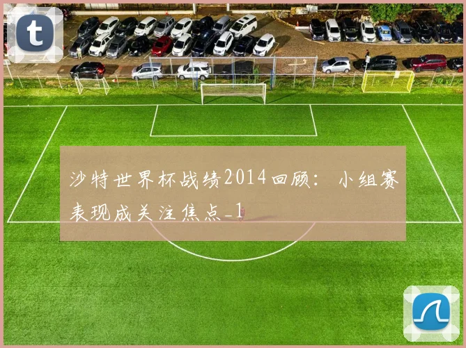 沙特世界杯战绩2014回顾：小组赛表现成关注焦点_1