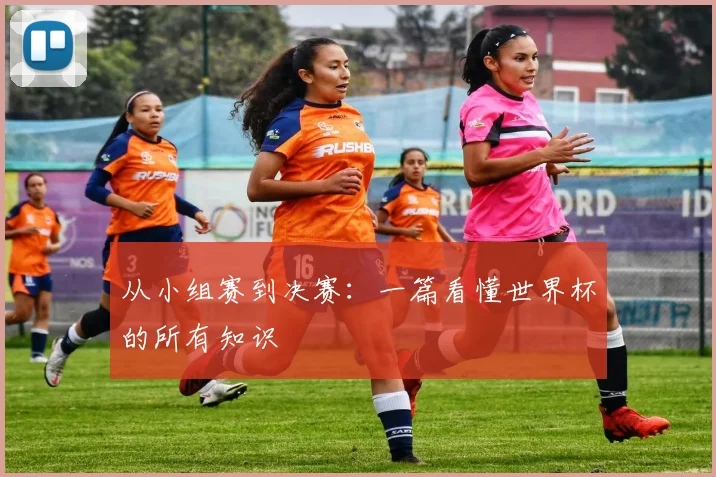 从小组赛到决赛：一篇看懂世界杯的所有知识