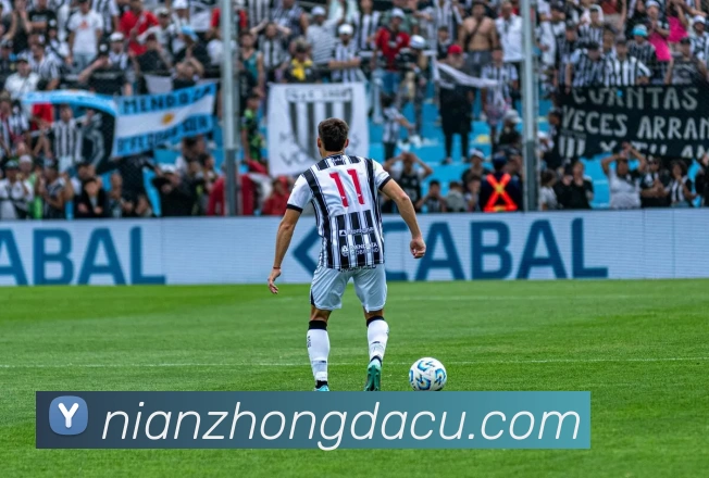 App Interface Preview